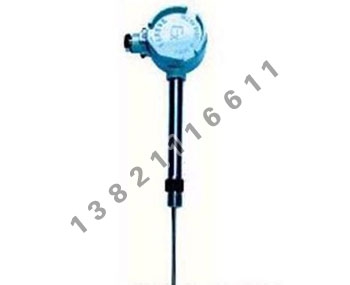 固定螺紋管接頭式防爆熱電阻